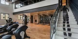 Markana Uptown Gallery 59