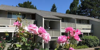 Madrona Place Gallery 11