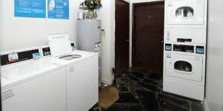 The Cove Apartments Gallery 7