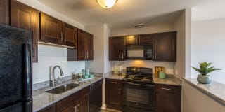 The 6Hundred Gallery 6