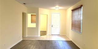 11164 GOLDEN SILENCE DRIVE Gallery 3