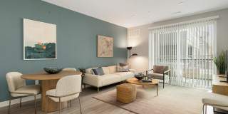 Aster at the Summit Gallery 5