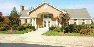 47403 DARKHOLLOW FALLS Terrace Gallery 22