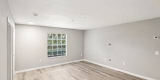 Coral Cove Gallery 31