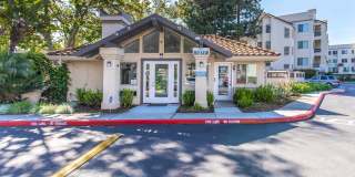 Paloma Vista Apartment Homes Paloma Vista Apartment Homes Gallery 8