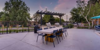 Elm at Panorama Gallery 17