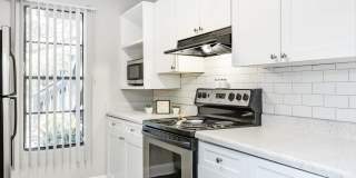 Solana Vista Gallery 57