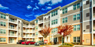 Solace Apartments Gallery 1