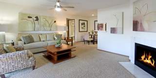 Tanglewood Gallery 17