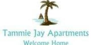 Tammie Jay Gallery 1