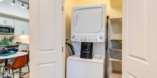 Castile Apartments Gallery 39