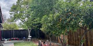 1598 Trieste Way Gallery 19