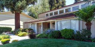 Evelyn Gardens Gallery 27