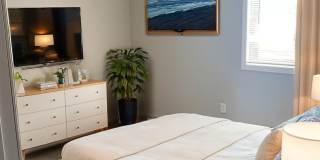 Bridlewood Bridlewood Gallery 21