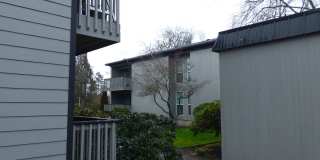 Rent Special: 1/2 Off June's Rent!! - Downstairs 2 Bedroom Unit Gallery 5