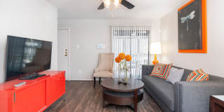 Willow Springs Gallery 30