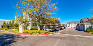 Bristle Pointe Gallery 27