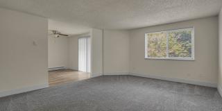 Downing Hills Gallery 4