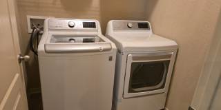 2738 Cinnamon Teal Gallery 13