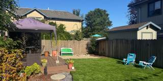 Live Oak Beauty Gallery 1