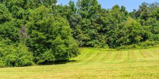 Allandale Falls Gallery 26
