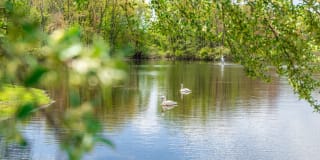 Princeton Park Apartments Gallery 64