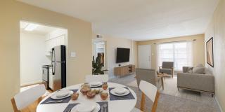 Prestonwood Gallery 6