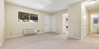 Two bedroom updated paint, carpet washer/dryer included in unit - Immediate Move In Gallery 7