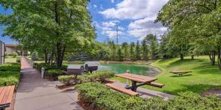 9725 Woods Drive unit: 1002 Gallery 26