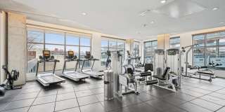 Bridge on Race Gallery 15