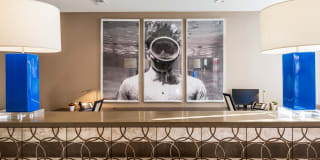Oberlin Court Gallery 13