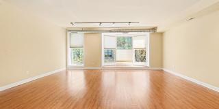 338 N CHARLES Street Gallery 2