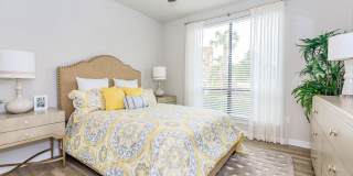 San Remo Gallery 42