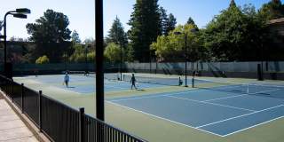 Spruce Apartments Gallery 11