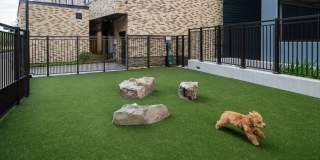 Avalon Hunt Valley and Hunt Valley West Gallery 37