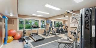 Riverwood Gallery 20