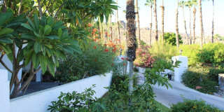 49340 Sunrose Ln Gallery 32