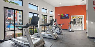 Sonterra Blue Gallery 19