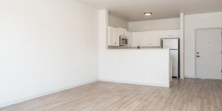 9 Ten North Gallery 21