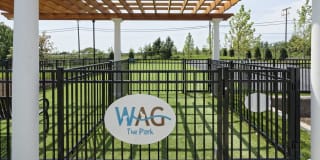 Avalon Laurel Gallery 31