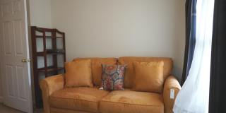 901 PINE FOREST Lane unit: 2001 Gallery 38