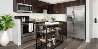 Chestnut Place Gallery 3