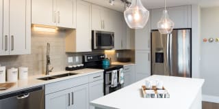 Palmetto Promenade Gallery 2