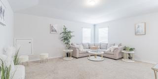 7019 CAPELLA CV Gallery 32