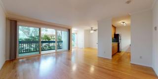 902 Camino Real #106 Gallery 1