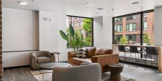 Theo Gallery 14
