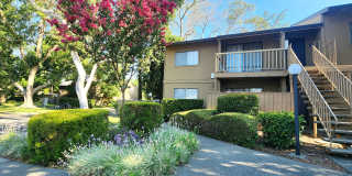 Hanover Place Gallery 28