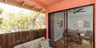 Bay Laurel Gallery 17