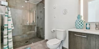 Alea Miami Gallery 46