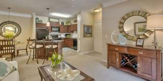 Lullwater at Saluda Pointe Gallery 11